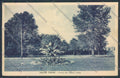 Pavia Salice Terme cartolina LQ5198 – fronte