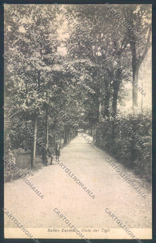 Pavia Salice Terme cartolina LQ5219 – fronte