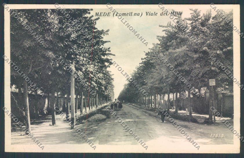 Pavia Mede cartolina LQ5247 – fronte