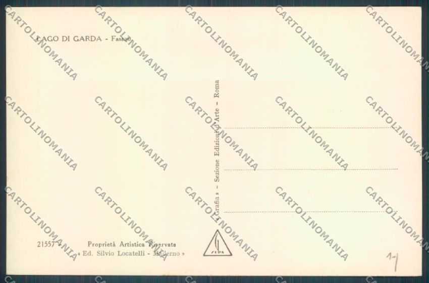Brescia Fasano Foto cartolina LQ5667 – retro