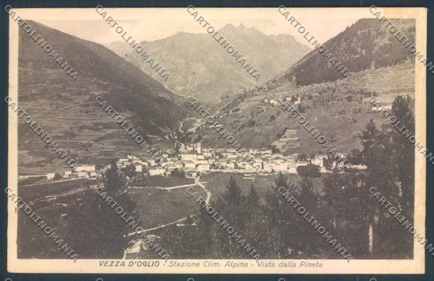 Brescia Vezza d'Oglio cartolina LQ6071 – fronte
