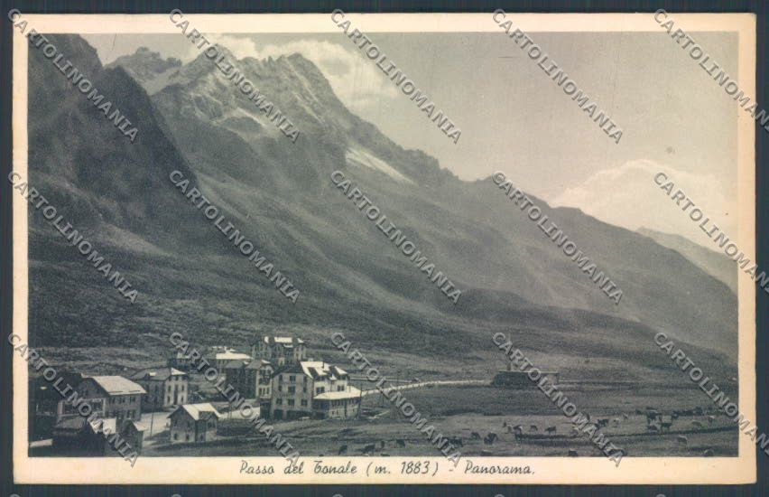 Brescia Passo del Tonale cartolina LQ6175 – fronte