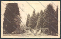 Varese Giardini cartolina LQ6358 – fronte