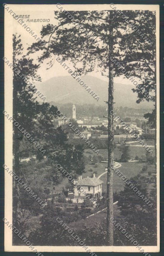 Varese Sant'Ambrogio cartolina LQ6486 – fronte
