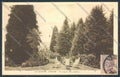Varese Città cartolina LQ6533 – fronte