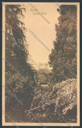 Varese Città cartolina LQ6636 – fronte