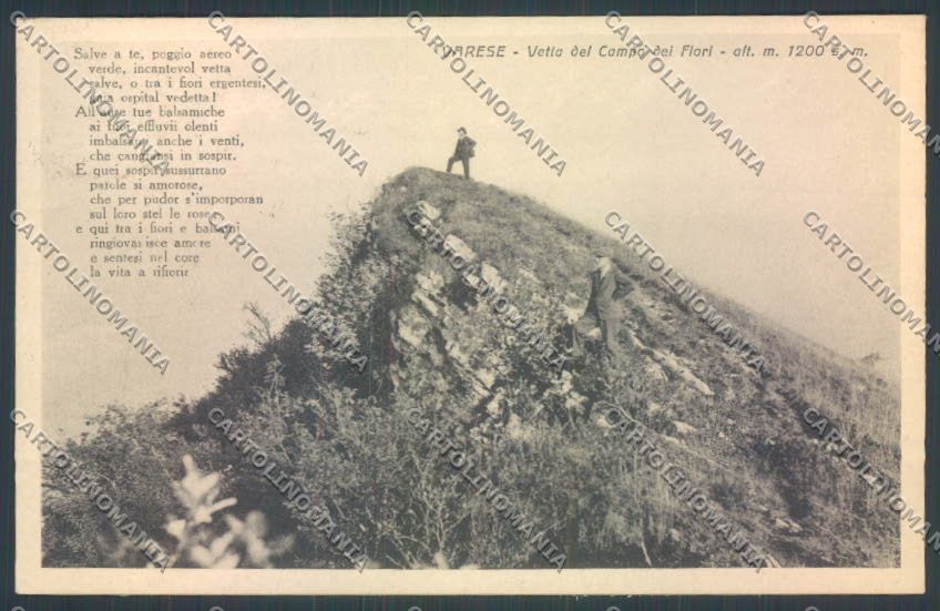 Varese Campo dei Fiori cartolina LQ6751 – fronte