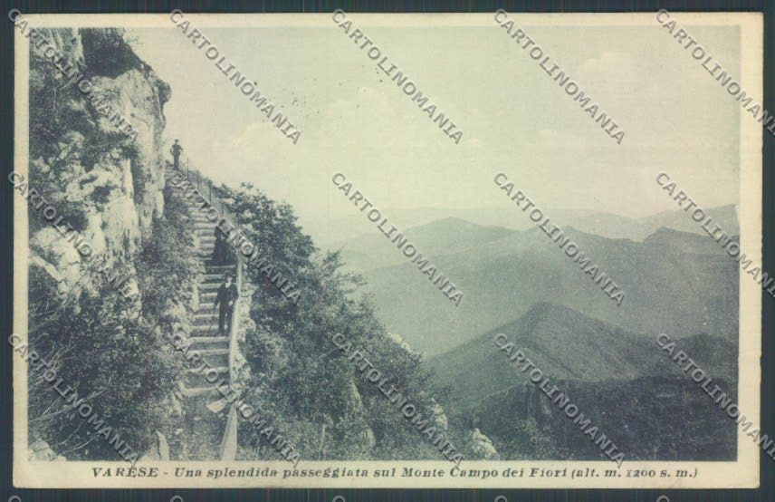 Varese Campo dei Fiori cartolina LQ6753 – fronte