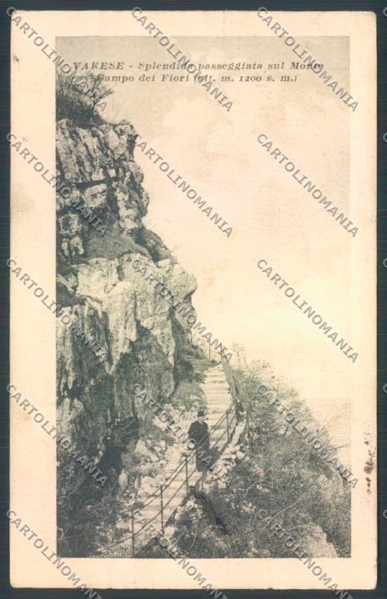 Varese Campo dei Fiori cartolina LQ6757 – fronte