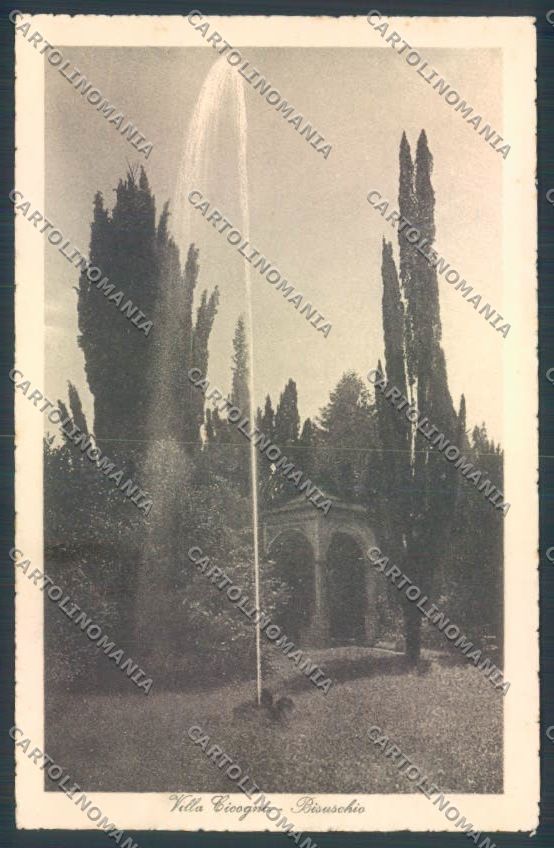 Varese Bisuschio cartolina LQ7136 – fronte