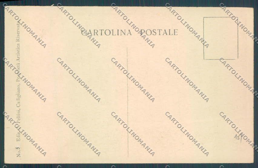 Varese Cadigliano Viconago cartolina LQ7228 – retro