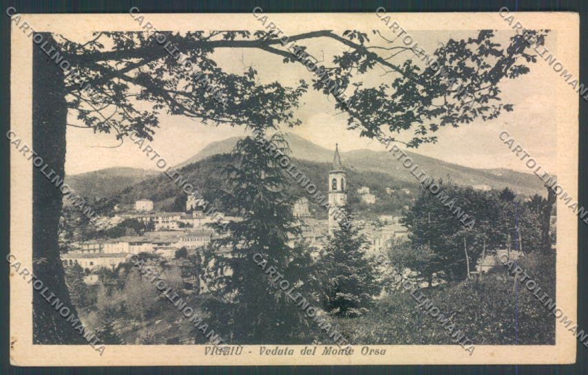 Varese Viggiù cartolina LQ7564 – fronte