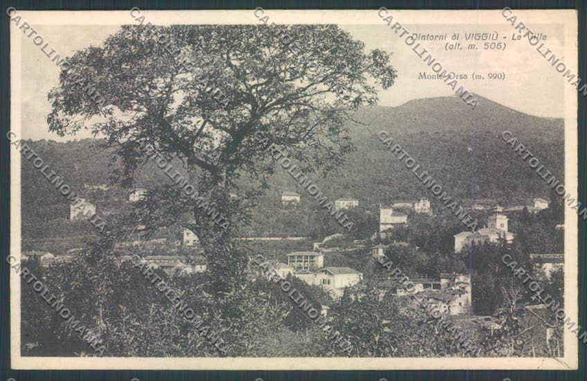 Varese Viggiù cartolina LQ7579 – fronte
