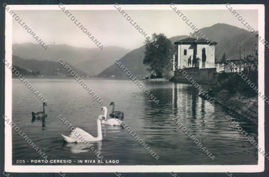 Varese Porto Ceresio Foto cartolina LQ8543 – fronte