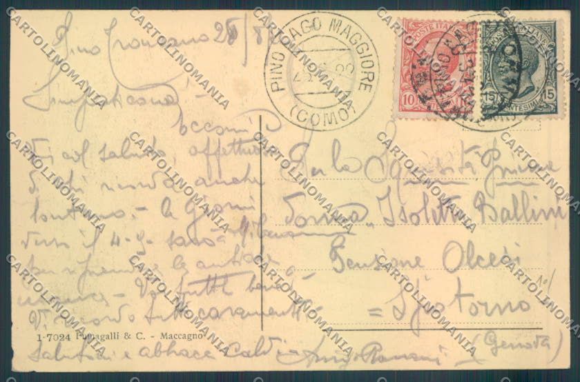 Varese Pino cartolina LQ8567 – retro