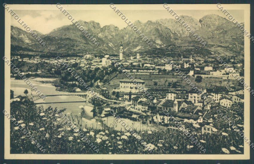 Belluno Città Ponte cartolina LQ8784 – fronte