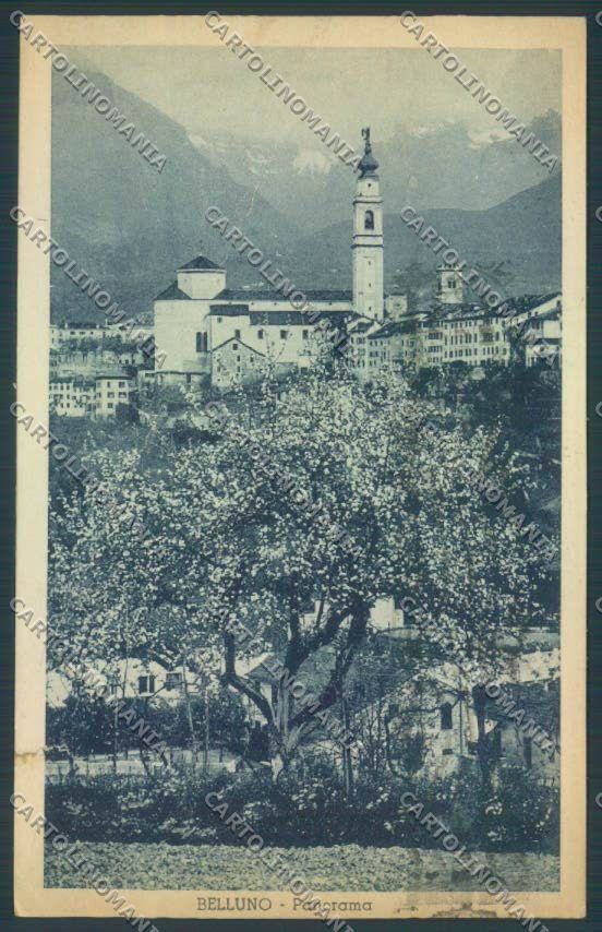 Belluno Città STRAPPO PIEGATA cartolina LQ8788 – fronte