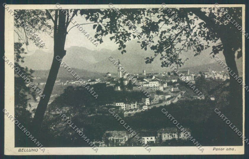 Belluno Città cartolina LQ8794 – fronte