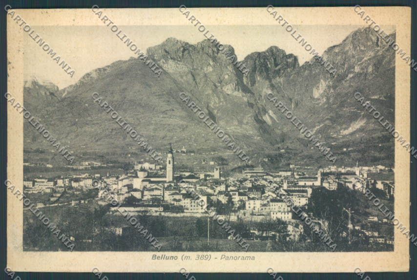 Belluno Città cartolina LQ8795 – fronte