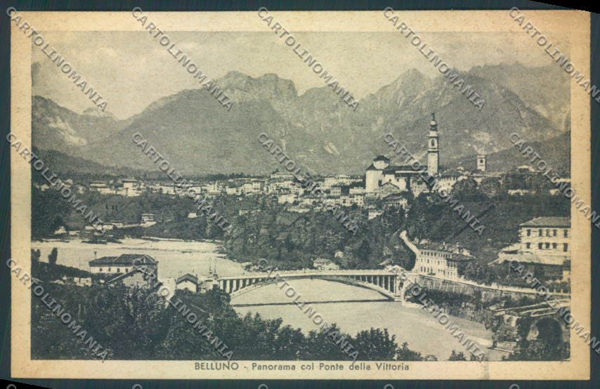 Belluno Città Ponte cartolina LQ8798 – fronte