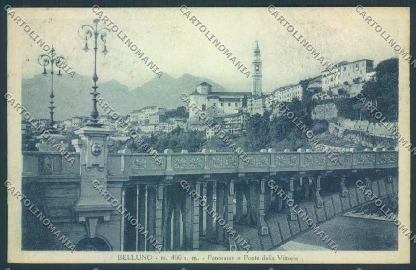 Belluno Città Ponte cartolina LQ8805 – fronte