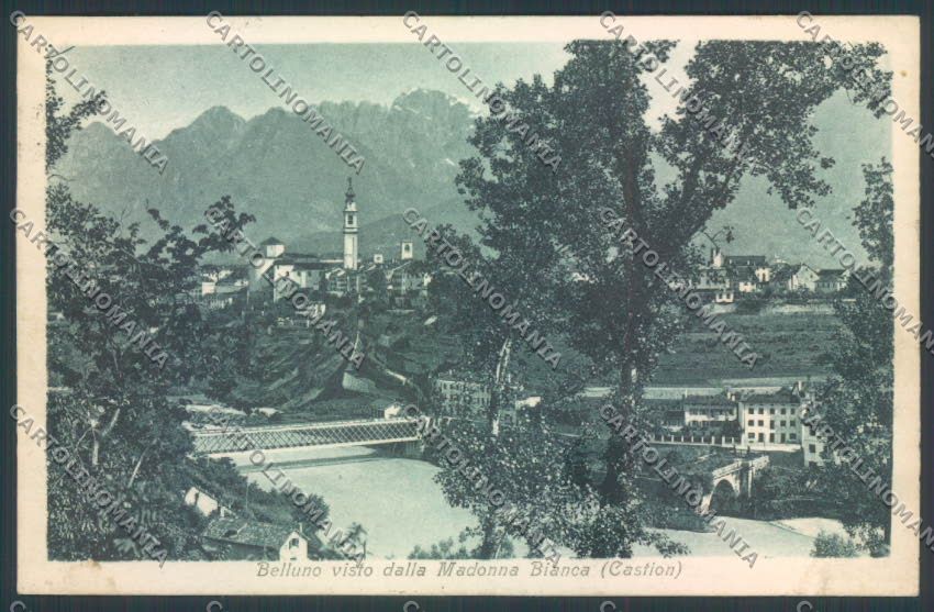 Belluno Città Ponte cartolina LQ8822 – fronte