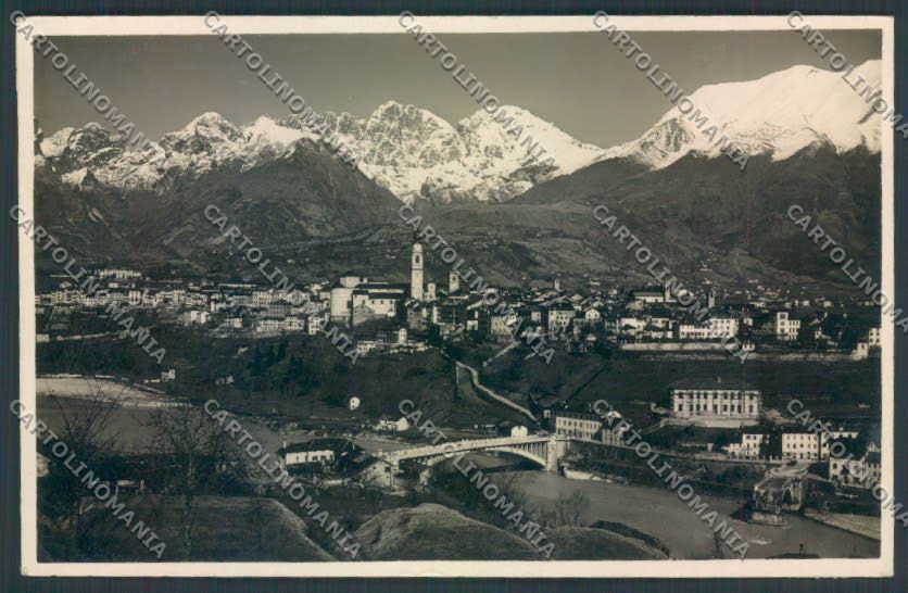 Belluno Città Foto cartolina LQ8833 – fronte