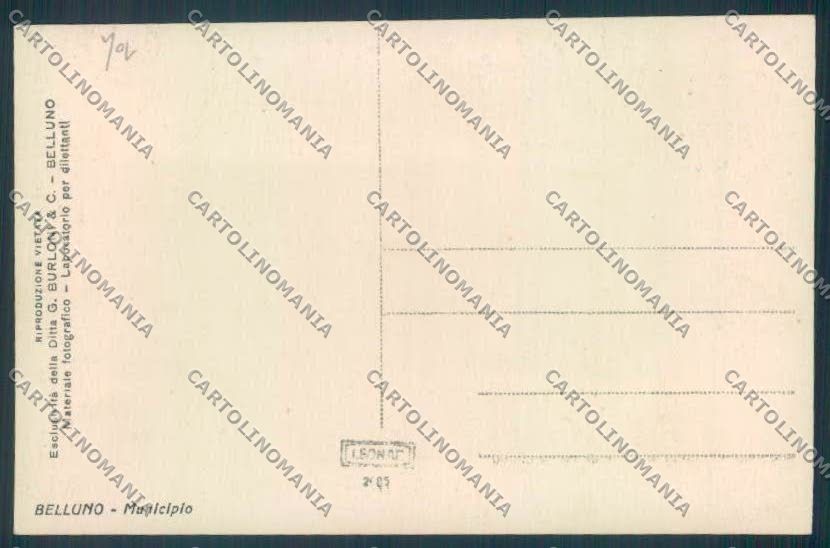 Belluno Città Foto cartolina LQ8834 – retro
