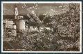 Belluno Città Foto cartolina LQ8835 – fronte