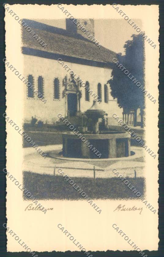 Belluno Città Foto cartolina LQ8837 – fronte