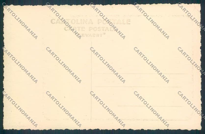 Belluno Città Foto cartolina LQ8837 – retro