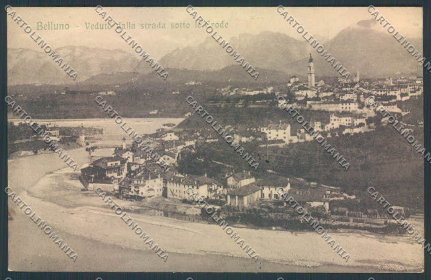 Belluno Città cartolina LQ8846 – fronte