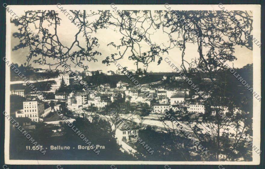 Belluno Città Foto cartolina LQ8872 – fronte