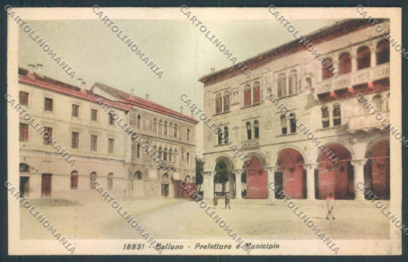 Belluno Città cartolina LQ8881 – fronte