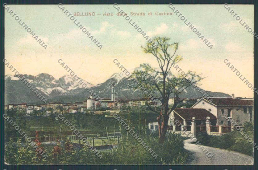 Belluno Città cartolina LQ8882 – fronte