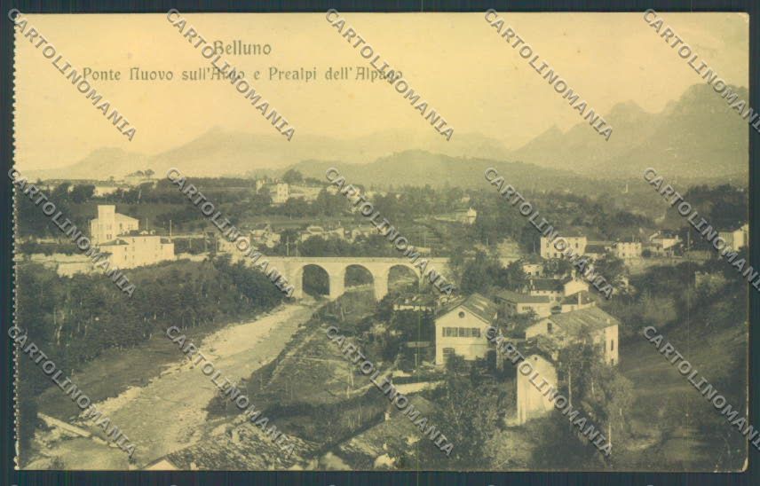 Belluno Città cartolina LQ8891 – fronte