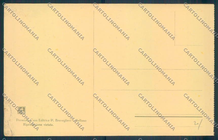 Belluno Città cartolina LQ8891 – retro