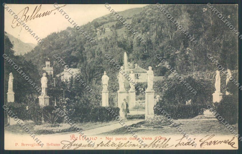 Belluno Città cartolina LQ8892 – fronte
