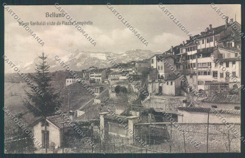 Belluno Città SCOLLATA cartolina LQ8895 – fronte