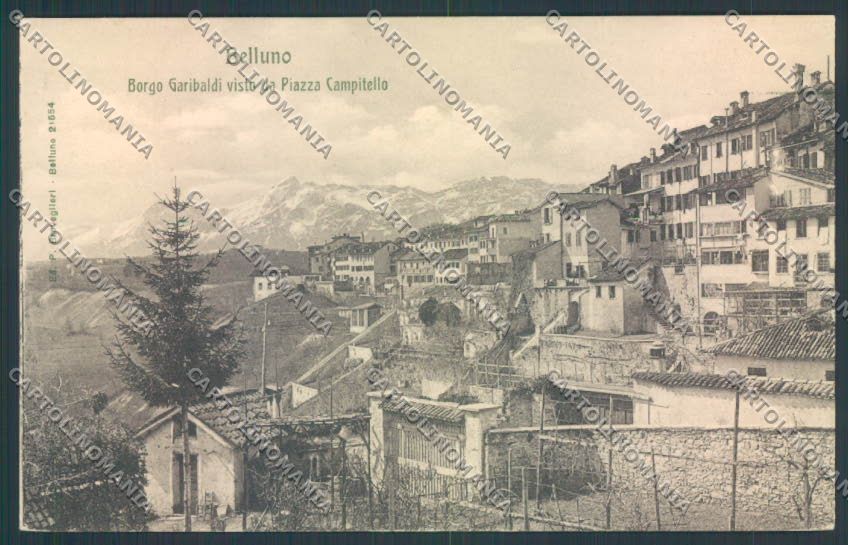 Belluno Città cartolina LQ8900 – fronte