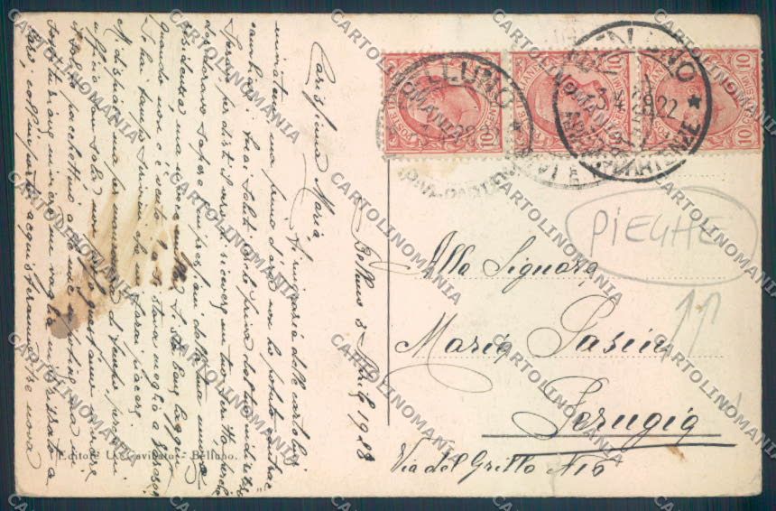 Belluno Città PIEGHE STRAPPINO cartolina LQ8905 – retro