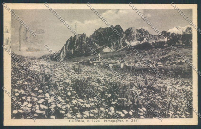 Belluno Cortina d'Ampezzo cartolina LQ8924 – fronte