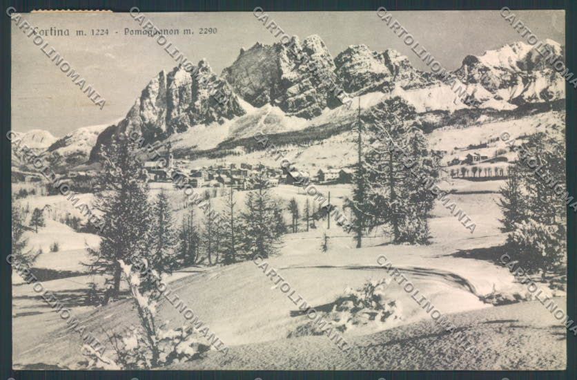 Belluno Cortina d'Ampezzo Nevicata cartolina LQ8925 – fronte