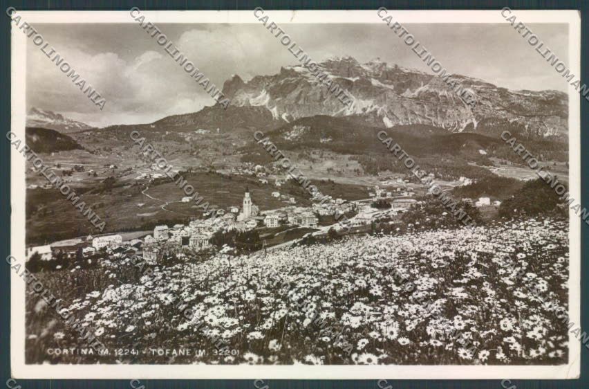 Belluno Cortina d'Ampezzo Foto cartolina LQ9083 – fronte