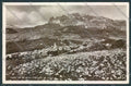 Belluno Cortina d'Ampezzo Foto cartolina LQ9083 – fronte