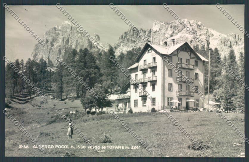 Belluno Cortina d'Ampezzo Foto cartolina LQ9129 – fronte