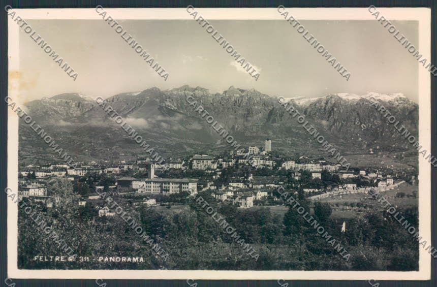 Belluno Feltre Foto cartolina LQ9244 – fronte