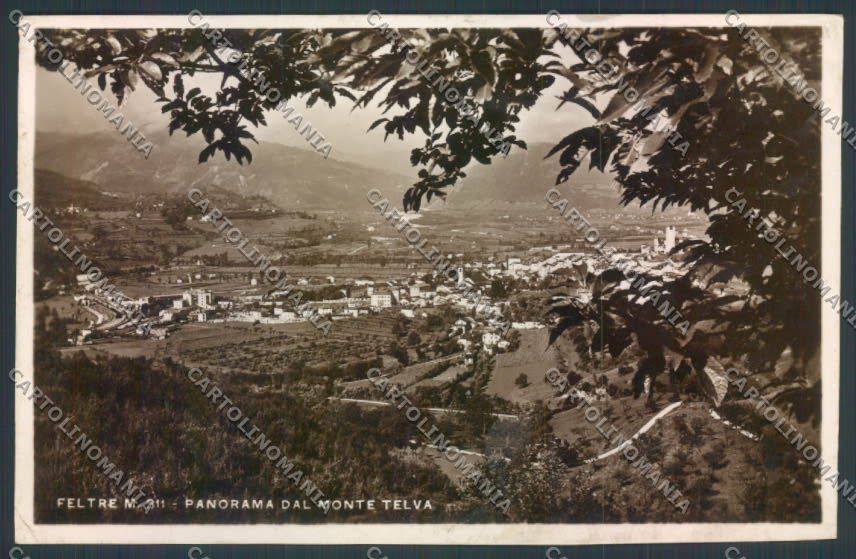 Belluno Feltre Foto cartolina LQ9275 – fronte