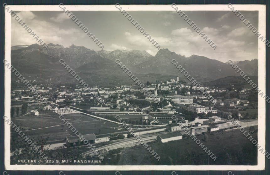 Belluno Feltre Foto cartolina LQ9276 – fronte