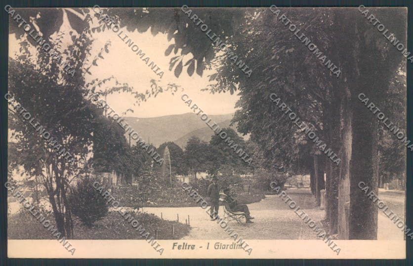 Belluno Feltre cartolina LQ9285 – fronte